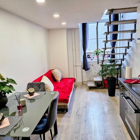 شقة Ljubljana Nest- Centre, Free Parking- Renovated August 2024 المظهر الخارجي الصورة