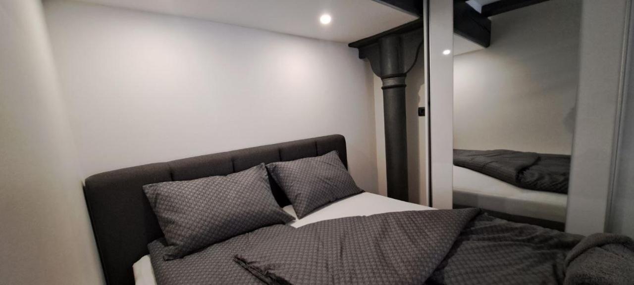 شقة Ljubljana Nest- Centre, Free Parking- Renovated August 2024 المظهر الخارجي الصورة