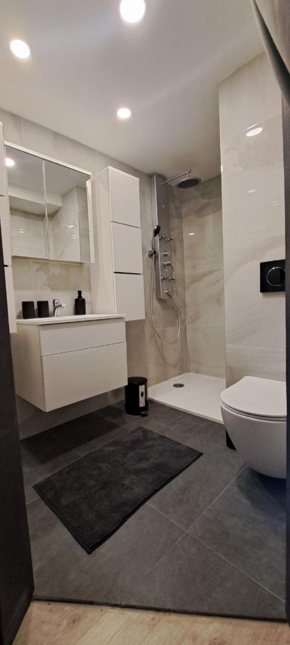 شقة Ljubljana Nest- Centre, Free Parking- Renovated August 2024 المظهر الخارجي الصورة